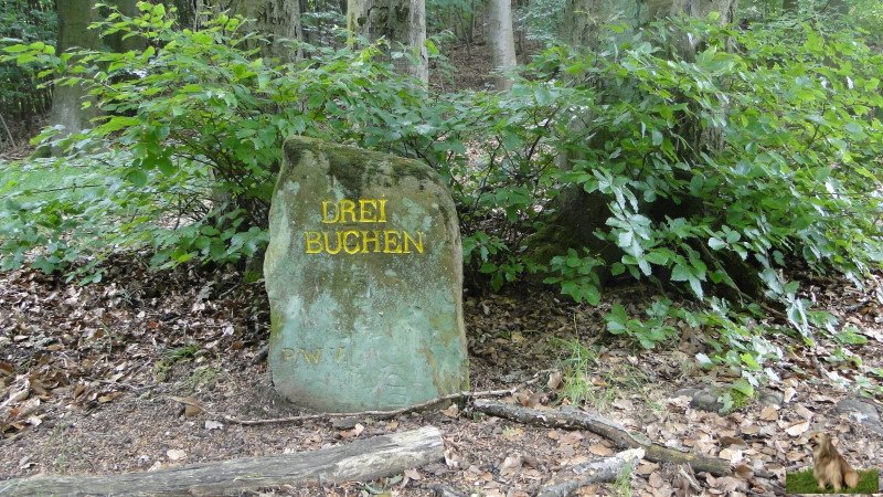 Ritterstein Nr. 014-1c Drei Buchen.JPG - Ritterstein Nr.14  Drei Buchen